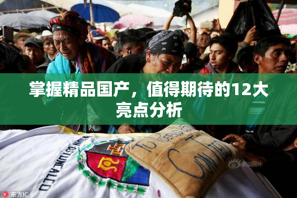 掌握精品国产，值得期待的12大亮点分析