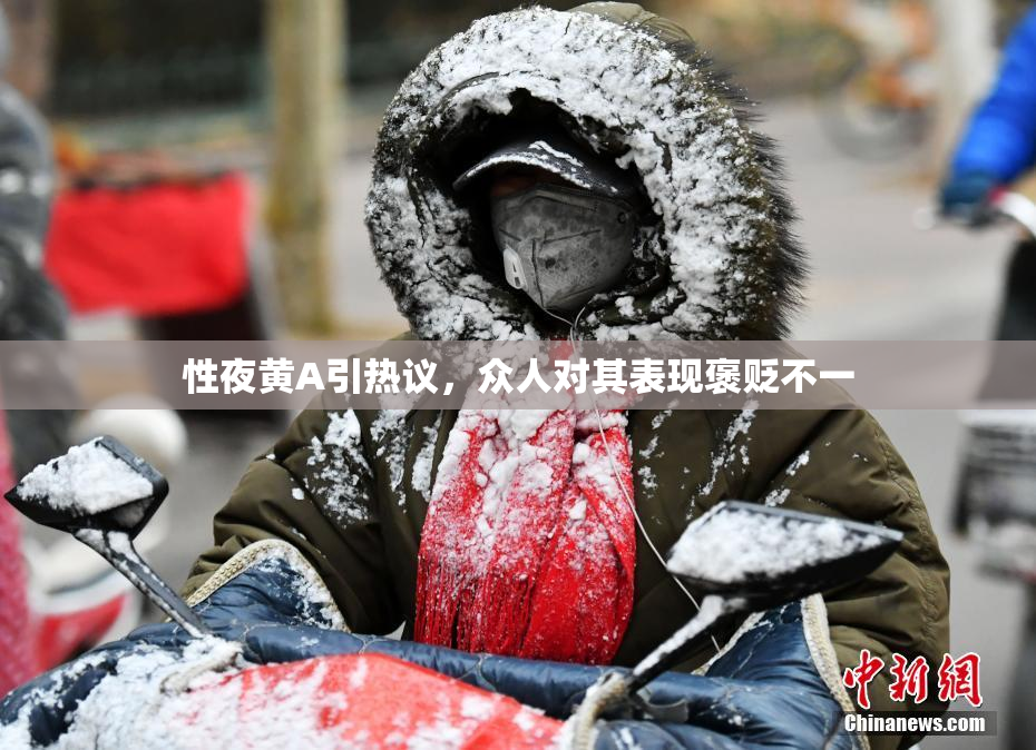 性夜黄A引热议，众人对其表现褒贬不一