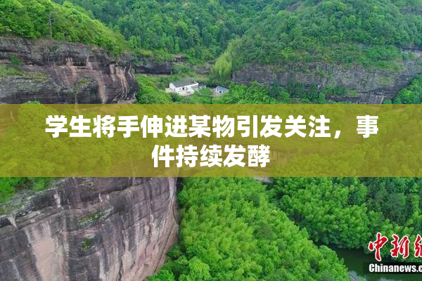 学生将手伸进某物引发关注，事件持续发酵