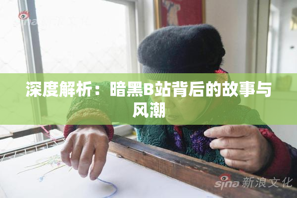深度解析：暗黑B站背后的故事与风潮