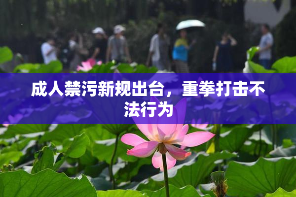 成人禁污新规出台，重拳打击不法行为