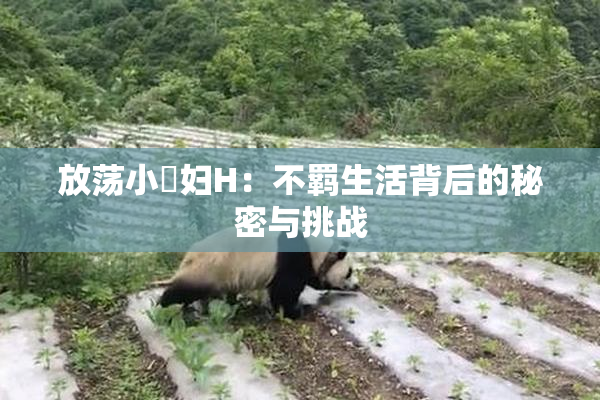 放荡小婬妇H：不羁生活背后的秘密与挑战