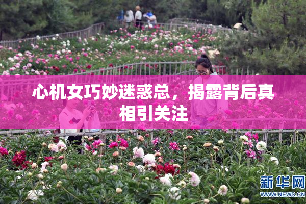 心机女巧妙迷惑总，揭露背后真相引关注