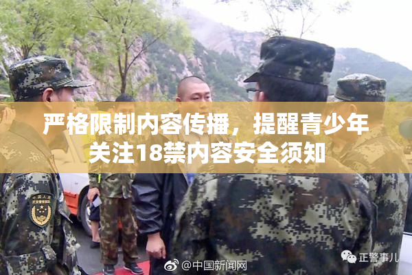 严格限制内容传播，提醒青少年关注18禁内容安全须知
