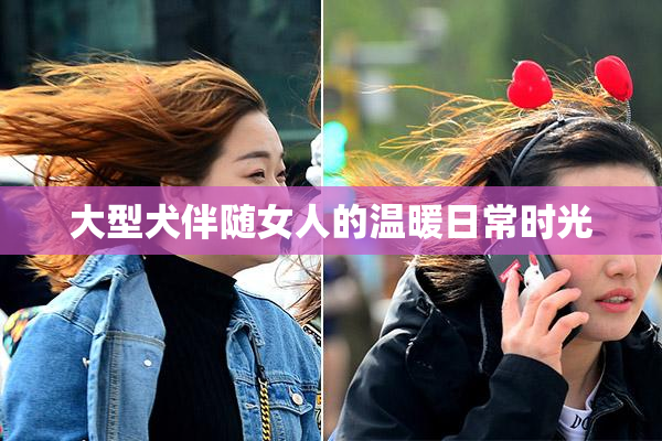 大型犬伴随女人的温暖日常时光