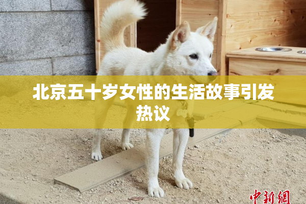 北京五十岁女性的生活故事引发热议