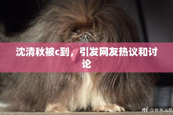 沈清秋被c到，引发网友热议和讨论