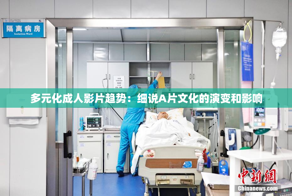 多元化成人影片趋势：细说A片文化的演变和影响