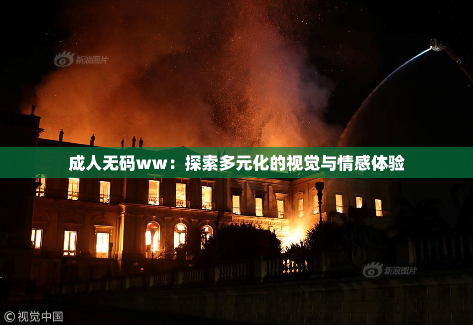 成人无码ww：探索多元化的视觉与情感体验