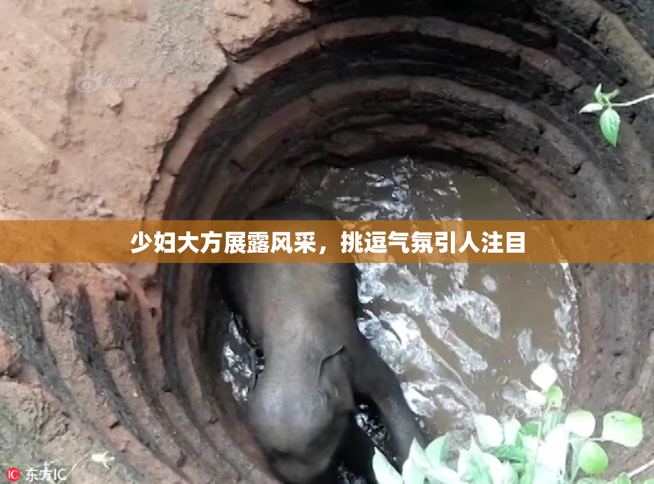 少妇大方展露风采，挑逗气氛引人注目