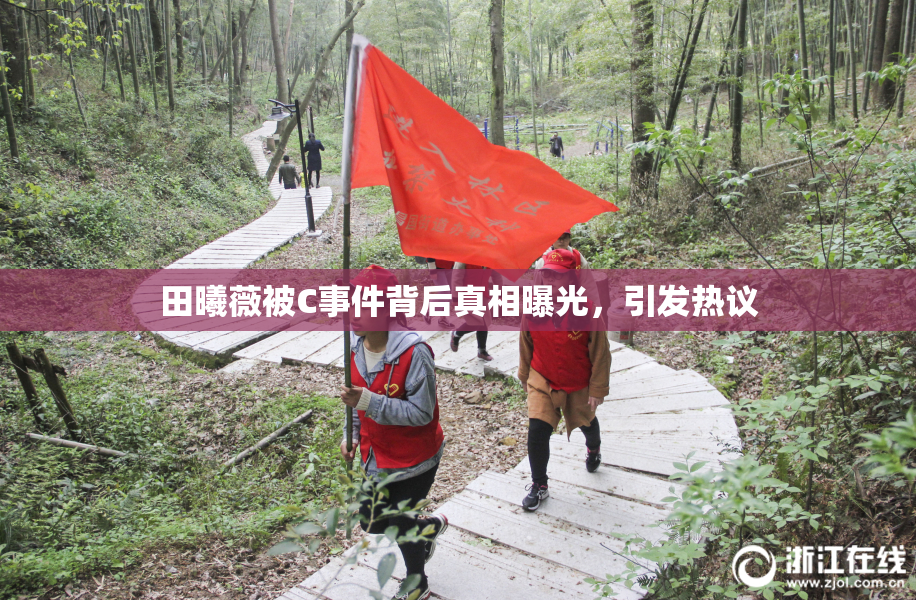 田曦薇被C事件背后真相曝光，引发热议