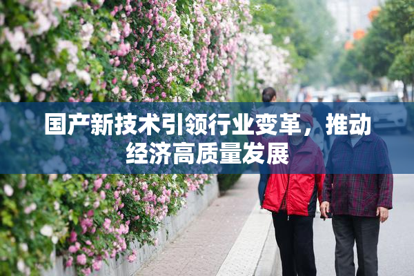 国产新技术引领行业变革，推动经济高质量发展