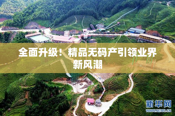 全面升级！精品无码产引领业界新风潮