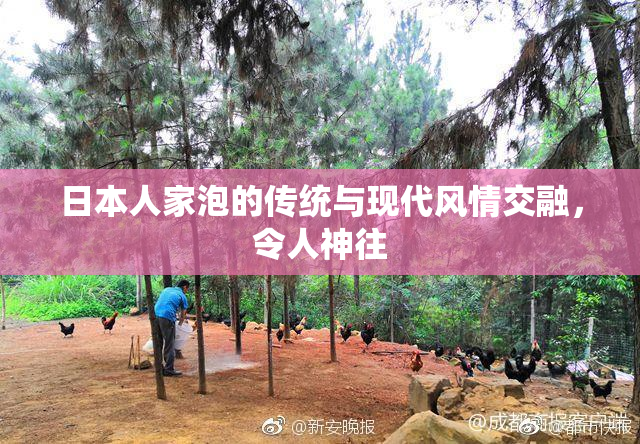日本人家泡的传统与现代风情交融，令人神往