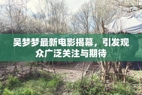 吴梦梦最新电影揭幕，引发观众广泛关注与期待