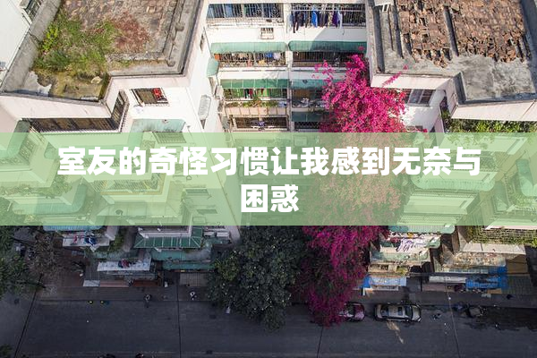 室友的奇怪习惯让我感到无奈与困惑