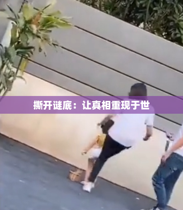 撕开谜底：让真相重现于世