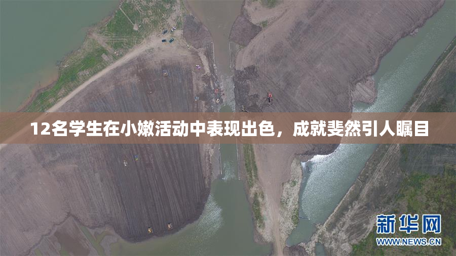 12名学生在小嫩活动中表现出色，成就斐然引人瞩目