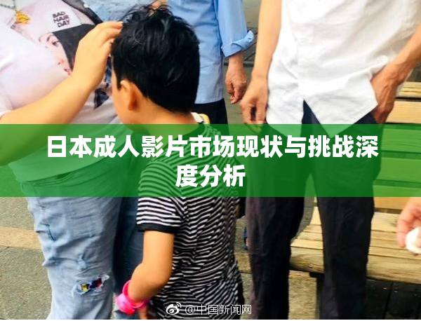 日本成人影片市场现状与挑战深度分析