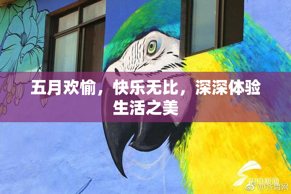 五月欢愉，快乐无比，深深体验生活之美