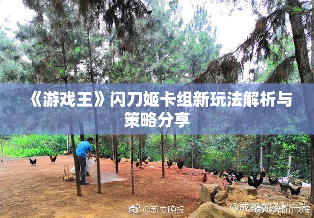 《游戏王》闪刀姬卡组新玩法解析与策略分享