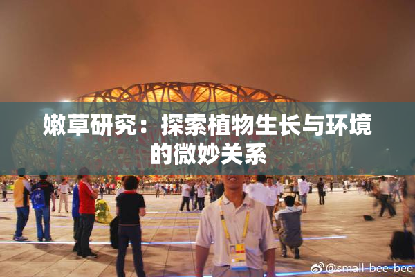 嫩草研究：探索植物生长与环境的微妙关系
