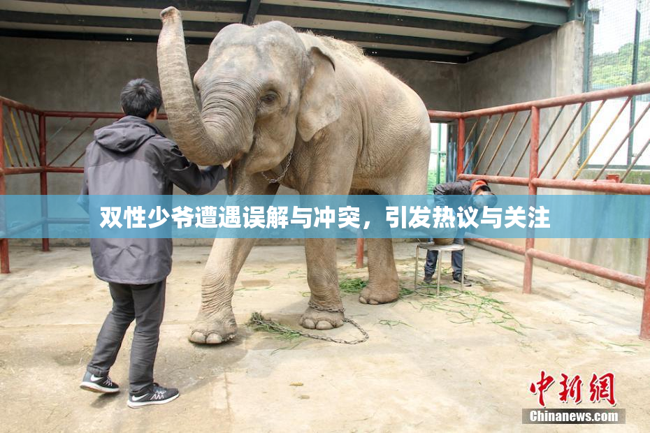 双性少爷遭遇误解与冲突，引发热议与关注