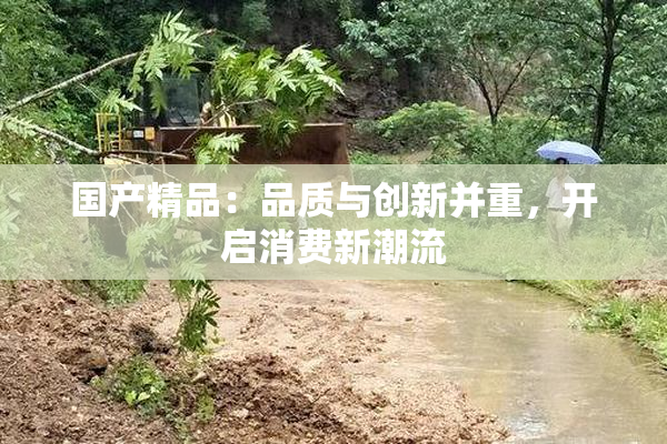 国产精品：品质与创新并重，开启消费新潮流