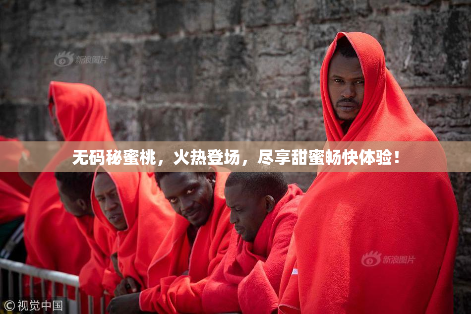无码秘蜜桃，火热登场，尽享甜蜜畅快体验！