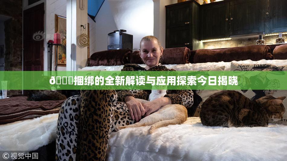 🔞捆绑的全新解读与应用探索今日揭晓
