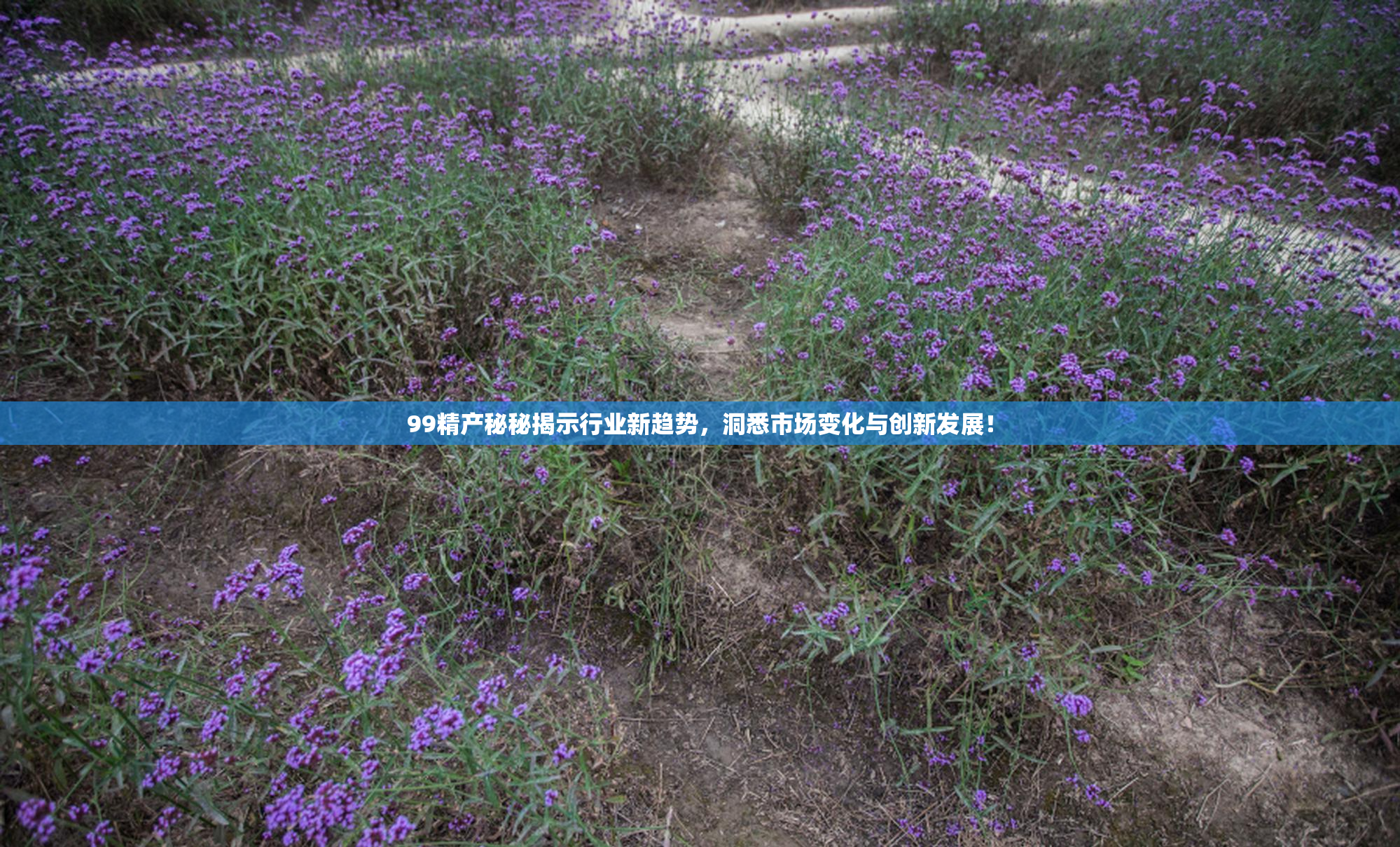 99精产秘秘揭示行业新趋势，洞悉市场变化与创新发展！