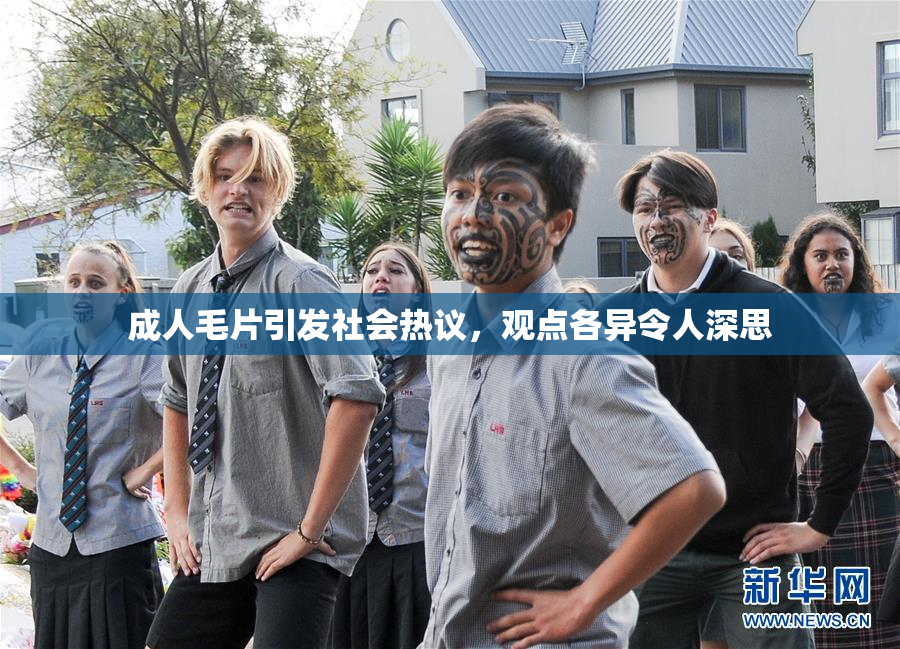 成人毛片引发社会热议，观点各异令人深思