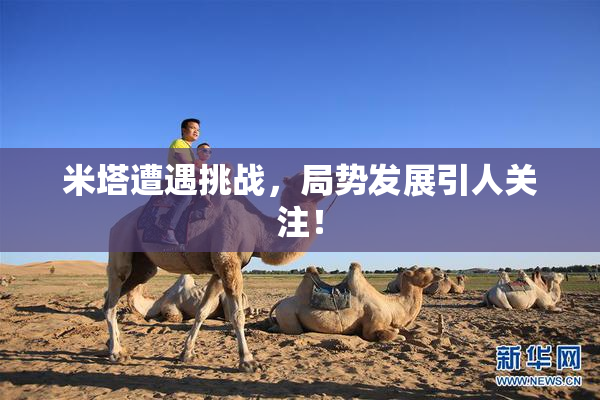 米塔遭遇挑战，局势发展引人关注！