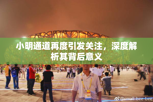 小明通道再度引发关注，深度解析其背后意义
