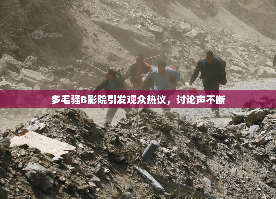 多毛骚B影院引发观众热议，讨论声不断