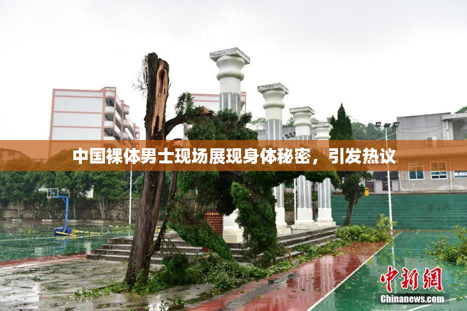 中国裸体男士现场展现身体秘密，引发热议
