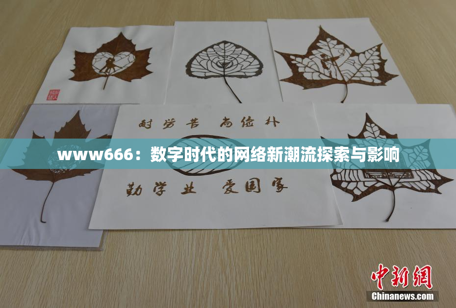 www666：数字时代的网络新潮流探索与影响