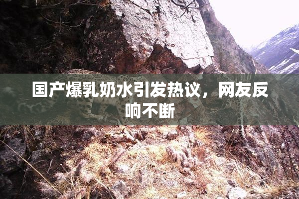 国产爆乳奶水引发热议，网友反响不断