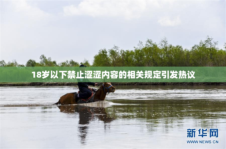 18岁以下禁止涩涩内容的相关规定引发热议