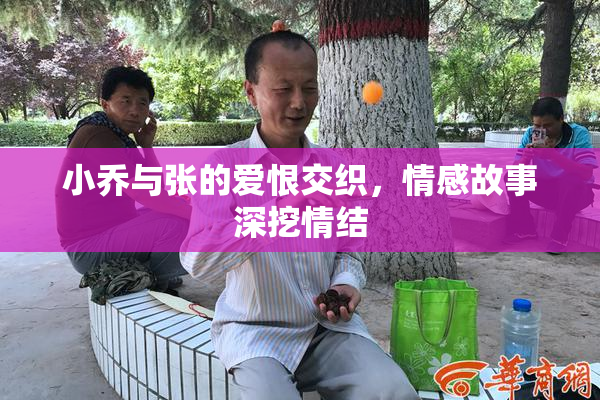 小乔与张的爱恨交织，情感故事深挖情结
