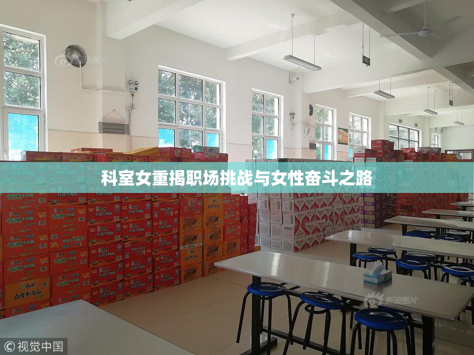科室女重揭职场挑战与女性奋斗之路