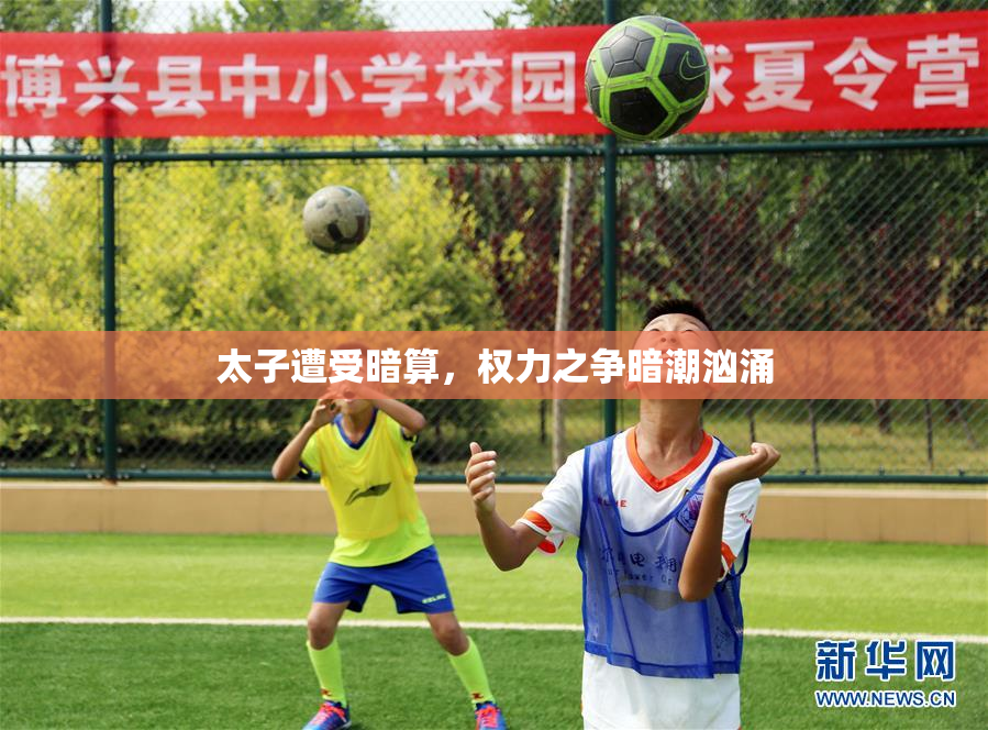 太子遭受暗算，权力之争暗潮汹涌