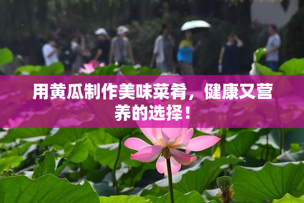 用黄瓜制作美味菜肴，健康又营养的选择！