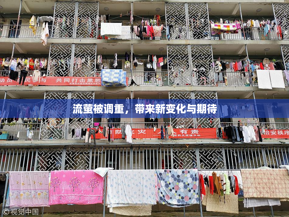 流萤被调重，带来新变化与期待