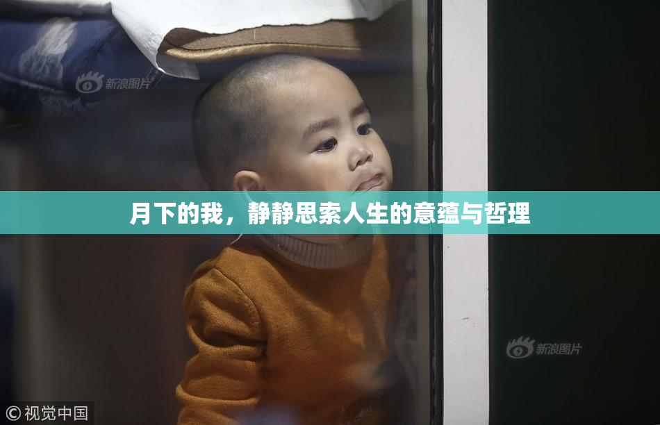 月下的我，静静思索人生的意蕴与哲理