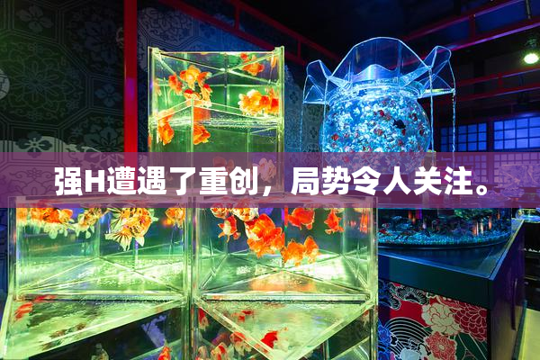 强H遭遇了重创，局势令人关注。