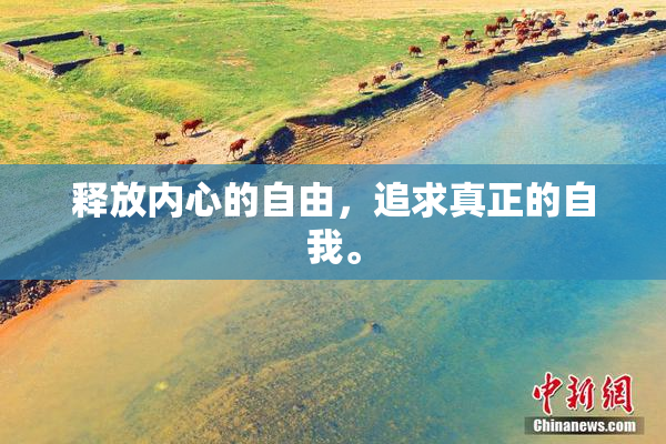 释放内心的自由，追求真正的自我。