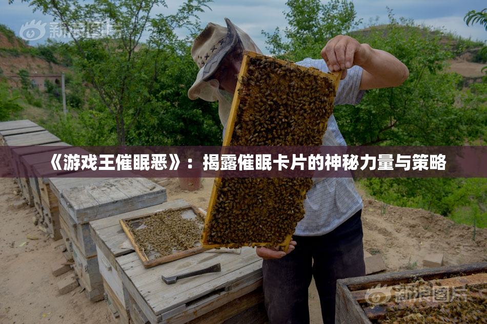 《游戏王催眠恶》：揭露催眠卡片的神秘力量与策略