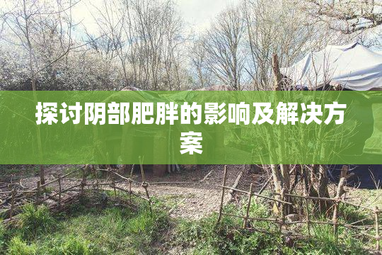 探讨阴部肥胖的影响及解决方案