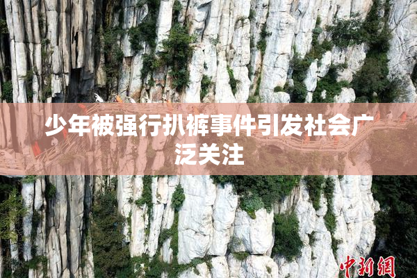 少年被强行扒裤事件引发社会广泛关注